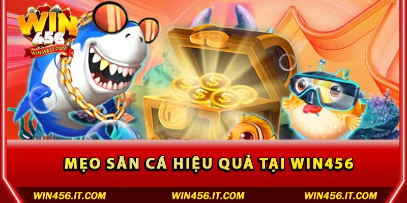 Mẹo bắn cá hiệu quả tại Win456 bạn cần biết