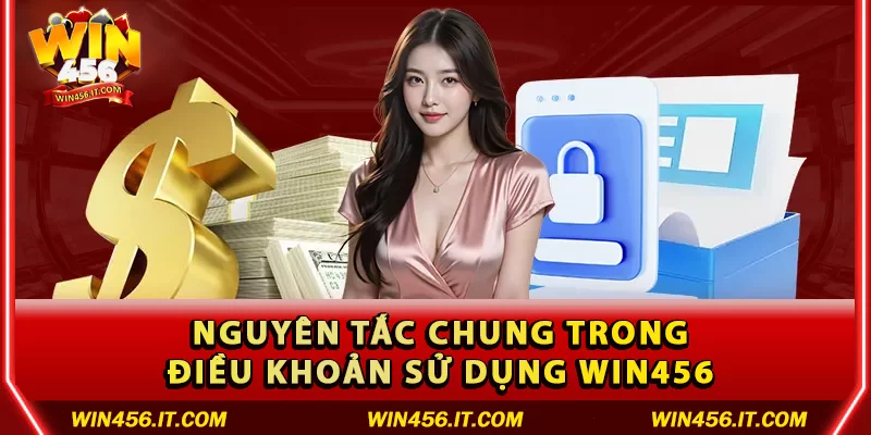 Nguyên tắc chung trong điều khoản sử dụng